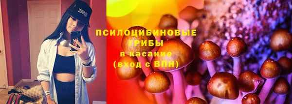 гашик Михайловск