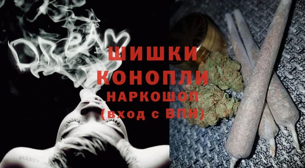 гашик Михайловск
