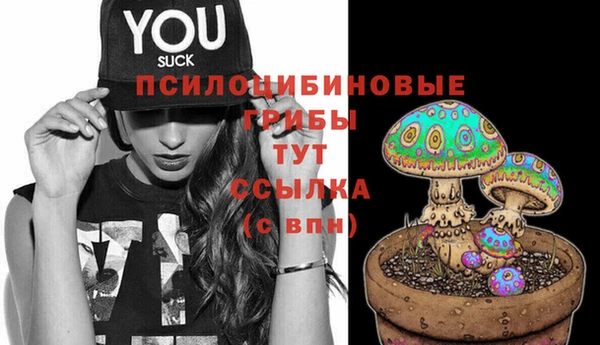COCAINE Михайлов