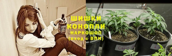 молекула духа Михайловка