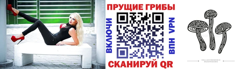 Купить  Камызяк  Галлюциногенные грибы MAGIC MUSHROOMS 